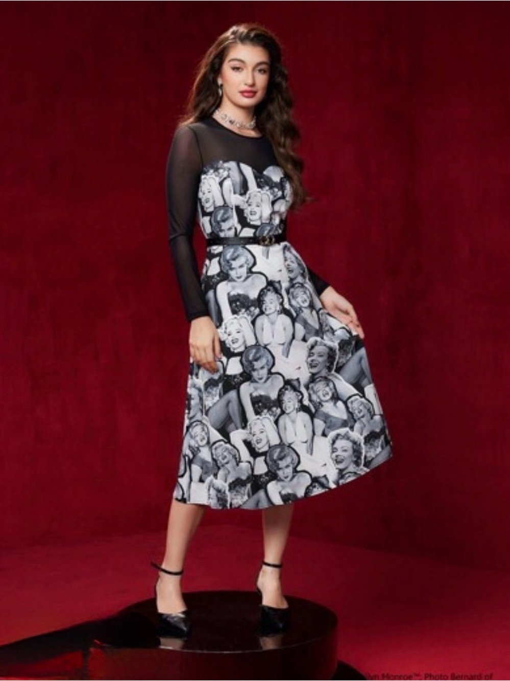 Marilyn Monroe X SHEIN PHOTO Dress